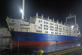 Importation d’ovins pour Aïd el-Adha 2026 : un deuxième navire de 9500 têtes de moutons déchargé au Port d’Annaba