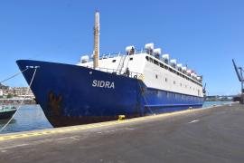 Arrival of a New Shipment of Eid Sacrificial Sheep at the Port of Annaba